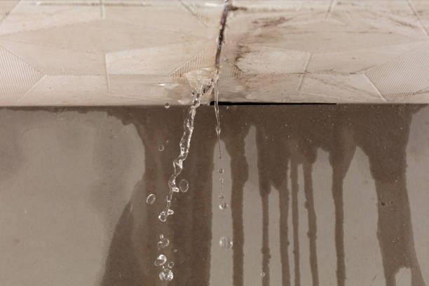 Professional Burst Pipe Cleanup technician working in Woodland Park, NE